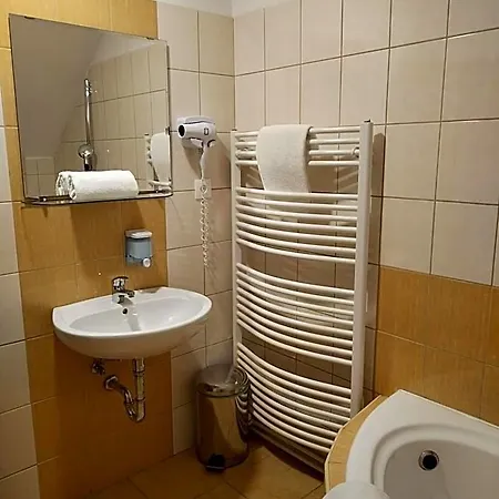 Borsicanka