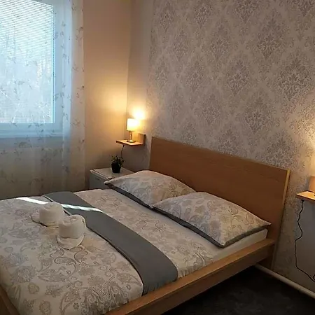 Hotel Borsicanka
