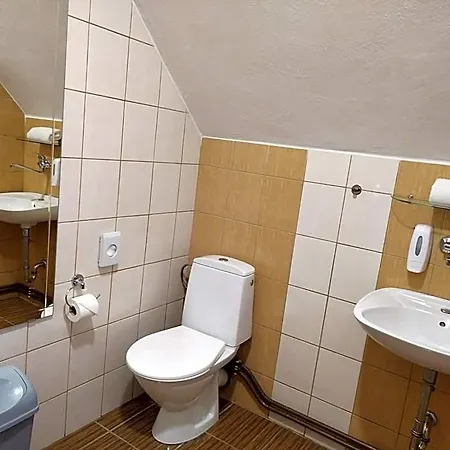 Hotel Borsicanka 3*